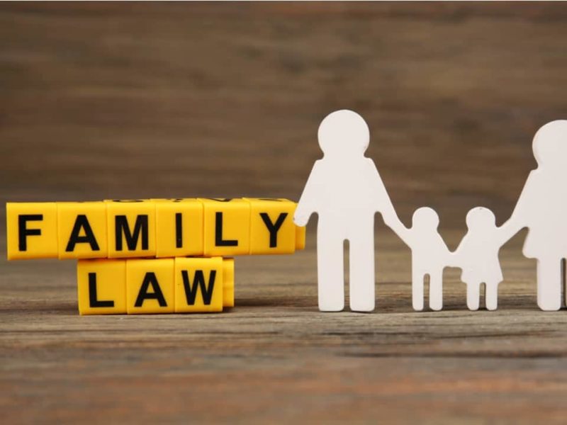 a-brief-guide-to-understanding-the-purpose-of-family-law-lawyers