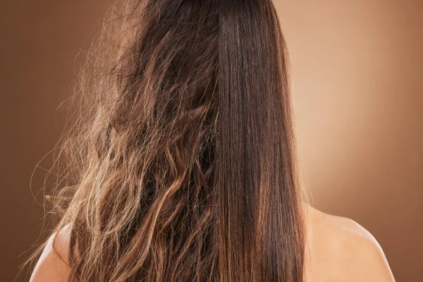 Treatment For Frizzy Hair